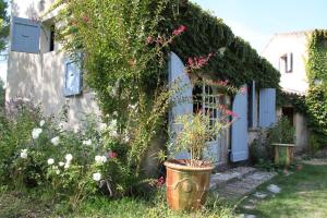 Maisons d'hotes Le Mas des Pins : photos des chambres