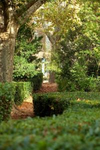 B&B / Chambres d'hotes Chateau de Saint Martin : photos des chambres