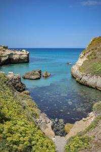 Masseria Bosco Mazza