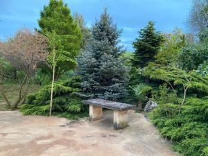 Hotels HOTEL NATURE LE LOFT : photos des chambres