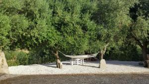 Casa vacanza centro Sardegna img11