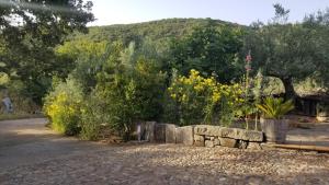Casa vacanza centro Sardegna
