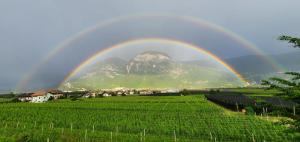 Ferienwohnung Eichnerhof
