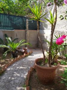 Case Vacanze Tropea La Pinnata