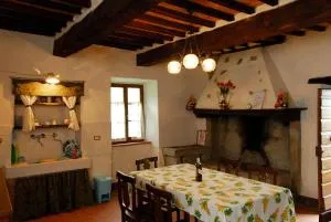 A stay surrounded by greenery - Agriturismo La Piaggia -app 3 guests - Vivo dʼOrcia