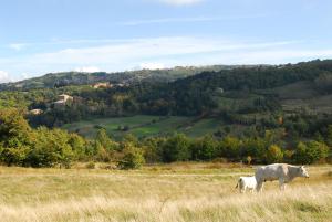 View of Monte Amiata for 3 guests Agriturismo La Piaggia - Vivo dOrcia