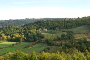 View of Monte Amiata for 3 guests Agriturismo La Piaggia - Vivo dOrcia