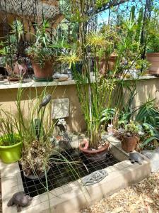 Cocon Provençal B&B Saint Chamas photo 18