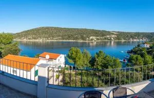 Vera - 大德尔韦尼克