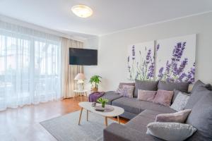 Lavender Cosy Apartment