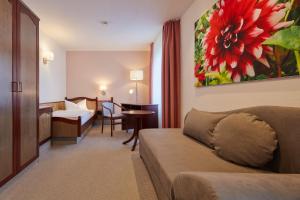 Large Single Room room in Hotel garni Sonnenhof