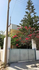 Seaside Kaki Thalassa