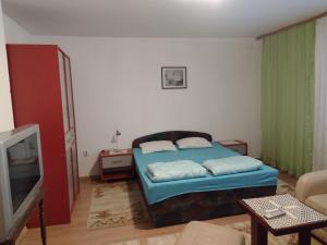 Large Double Room room in Cane Rooms