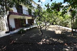 Igalo Garden Apartment