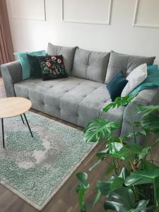 Apartament Flauta