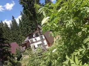 Apartments Žera - 弗拉西克