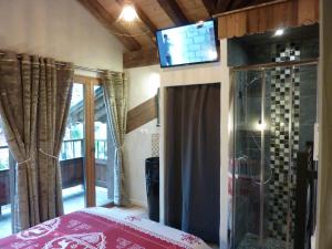 Appartements Chalet BORDON 2 : photos des chambres