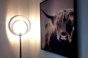 LIzar - Chalet des Etoiles - La Mongie