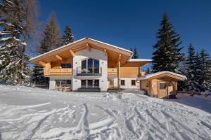 obrázek - Chalet Zillertal Arena