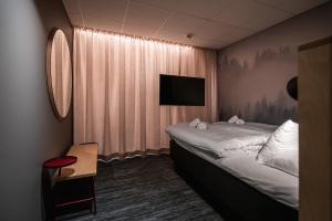 Double Room without Window room in Mornington Hotel Bromma