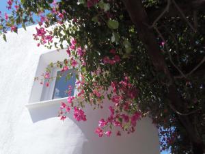 Hotel Manos Paros Greece