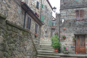 Santa Maria ad Valetudinarium