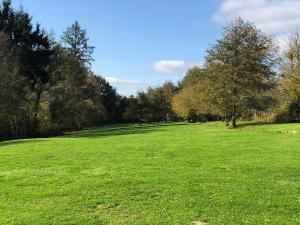 Maisons de vacances Holiday Gites in Dordogne are two charming, spacious gites offering privacy and tranquillity for that perfect get away holiday : photos des chambres