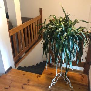 Dom Wakacyjny Parkowa