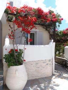 Hotel Manos Paros Greece