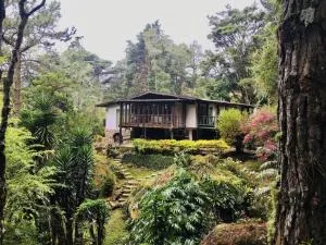 Estância das Nascentes - Sítio São Francisco - Falcão