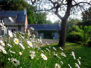 B&B / Chambres d'hotes La Butte de Gohier : photos des chambres