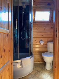 Svečių namai Dzūkai