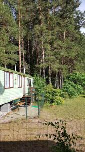 Beautiful holiday home near the pine forest