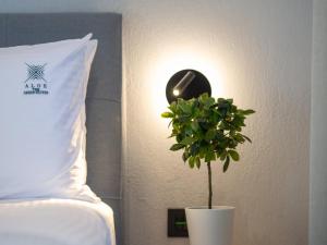 Aloe The Green Suites - Nikiti Halkidiki