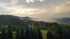 KLEMENTÓWKA