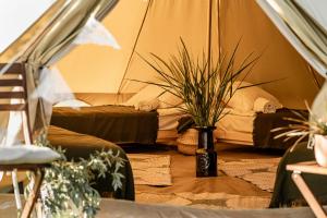 WPark Glamping