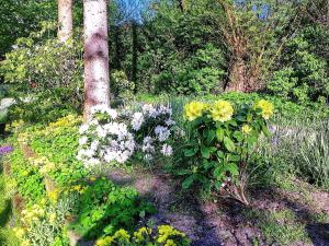 5 person holiday home in Middelfart