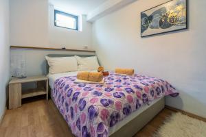 Apartments Zec