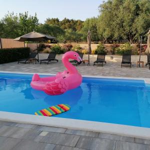 Holiday home with pool - Villa Marijana Kožino