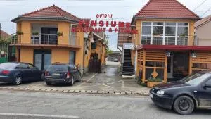 PENSIUNE RESTAURANT OVIDIU - Valea lui Mihai