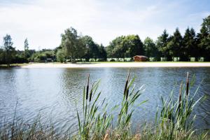 Ferienparadies Mühlenbach