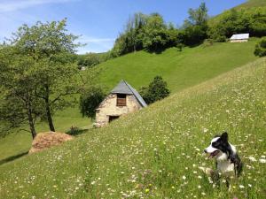 Maisons de vacances Vie d'Estive : photos des chambres