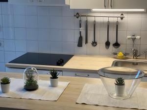 Sokobanja Apartman Aleksa