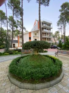 Buxus Hotel Shekvetili - 4hvězdičkové hotely ve městě Šekvetili