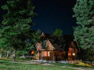 Elephant Family - Daba