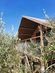 Glamping e Camere CirelliWines Abruzzo - Elice