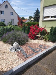 Appartements Suite-Airport-Basel : photos des chambres