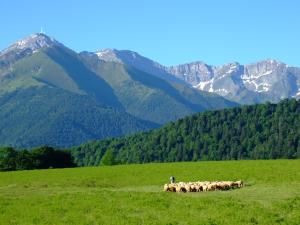 Maisons de vacances Vie d'Estive : Chalet Supérieur