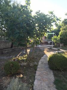 Apartmani Vesna Rogoznica