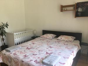 Strelnieku Apartment